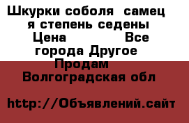 Шкурки соболя (самец) 1-я степень седены › Цена ­ 12 000 - Все города Другое » Продам   . Волгоградская обл.